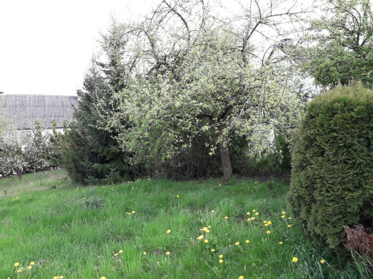 Vakantie Boerderij De Boerenzwaluw Karl Exterior photo